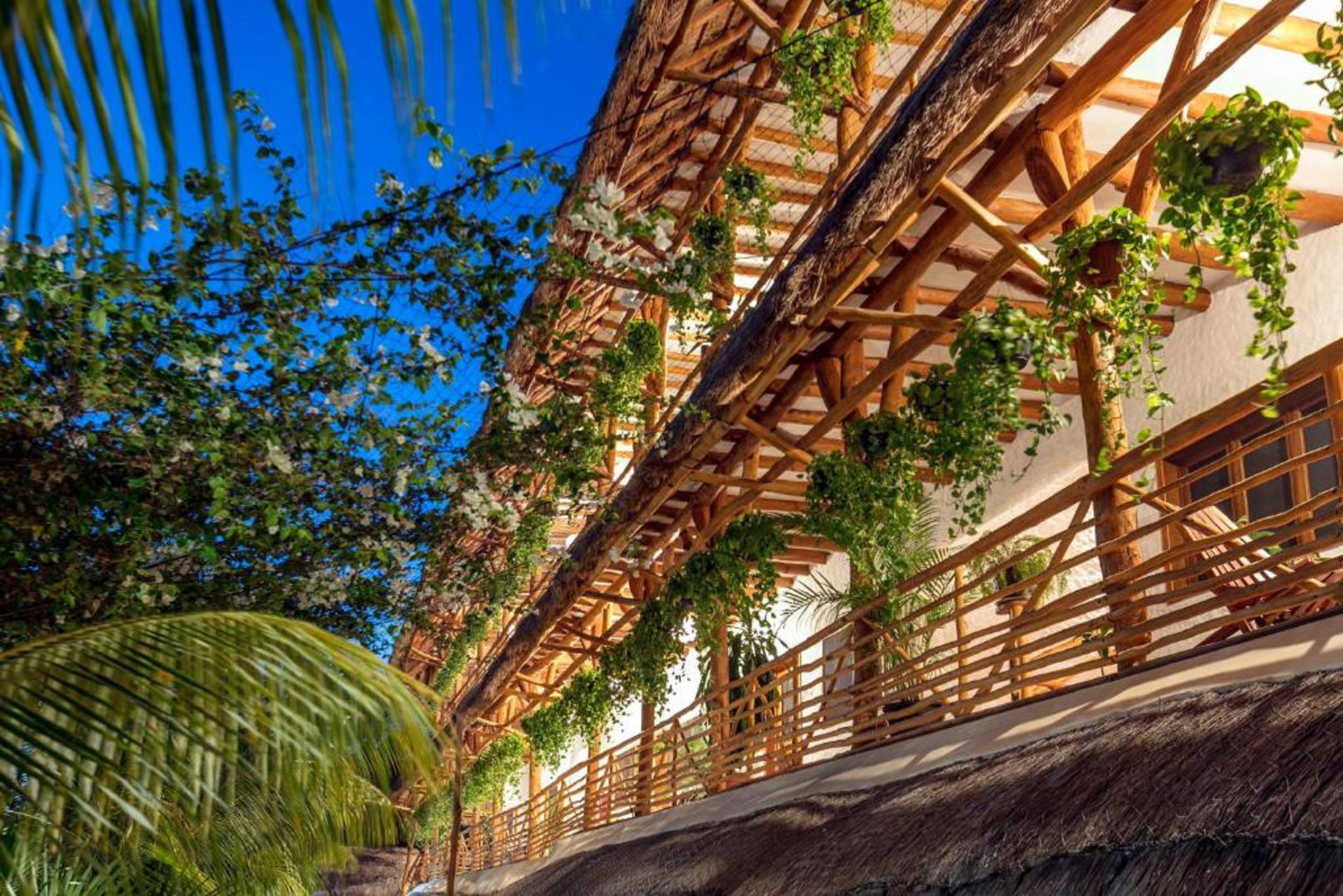 Boutique Casa Kuka 3* Holbox